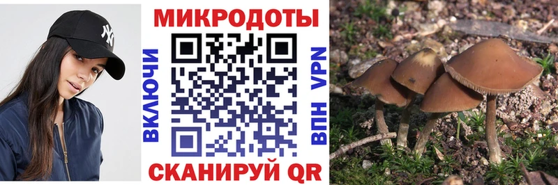 Галлюциногенные грибы прущие грибы  Светлоград 